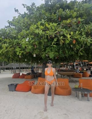 trans girl naughtyrites 7533765 trans girl naughtyrites 7533765