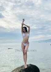 nhathaladyboy Ho Chi Minh Transex Hello! I'm Nhat Ha, a transgender woman
I am 23 years old, 1.70m tall, weigh 55kg and have an 18cm penis
I can do Top or Bottom depending on your needs (Top, Bot, kiss, lick and 69...)
1. Beauty, charm and a sweet voice are the things I always have
2. I always use 100% real photos

If you truly have a need, please find me
Do not tease to satisfy pleasure

Line: nhatha02
Telegram: @nhatha02
X: @nhatha11102

Come with me to have the most relaxing and comfortable moments!!!