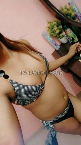 trans girl nikkidoll 2493603