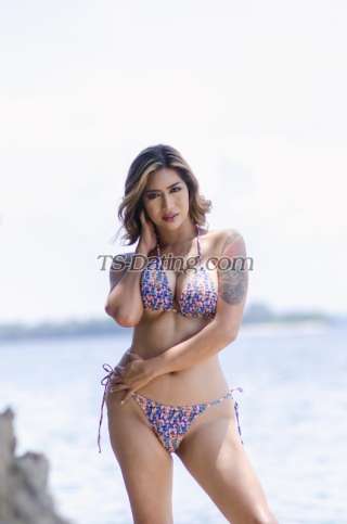 trans girl nikkilee2025 2681670 trans girl nikkilee2025 2681670