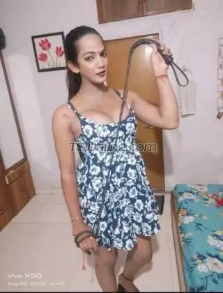 Shemale nikkylove143 1131341 Shemale nikkylove143 1131341