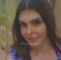 Nour Queen nourqueen nourqueen Damascus Transex 0993524150
Nour Queen
شيميل
نور
سوريا
حاكوني واتس اب