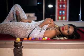 trans girl PERLACASTIL 1612305 trans girl PERLACASTIL 1612305