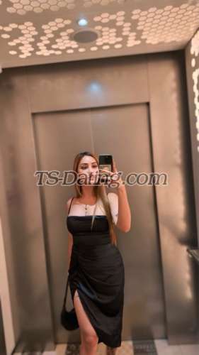 trans girl Pamela21 3641657 trans girl Pamela21 3641657