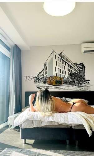 trans girl PamelaOnassi 0018152 trans girl PamelaOnassi 0018152