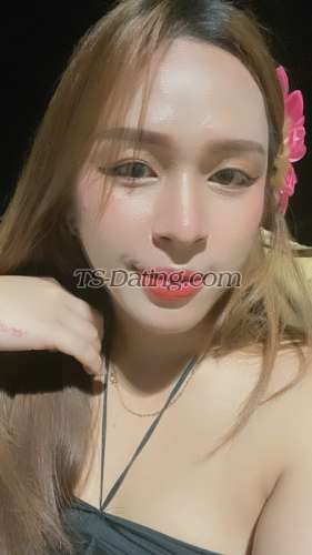 trans girl Pan117 2317820 trans girl Pan117 2317820