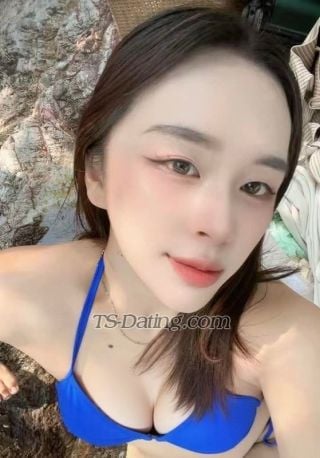 trans girl Pan117 9905583 trans girl Pan117 9905583