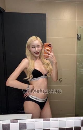 trans girl Pangg 4361173 trans girl Pangg 4361173