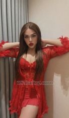 Pau007 Cairo Transex Hey, I'm Biba Arabia, I want 100% truth, I just want class
people, people who are good at dealing.💋I will
travel and have fun, I love all kinds of jokes and I love
going out❤️💋If you want control, just contact me
and you will find complete control🫦❤️💋Talk to
me on Telegram❤️