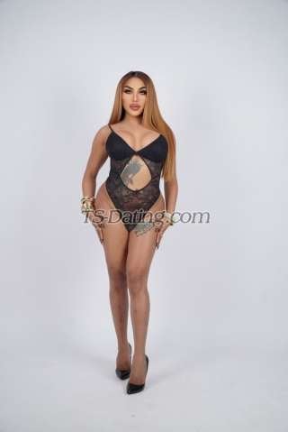 trans girl Pauladorantes 5168295 trans girl Pauladorantes 5168295
