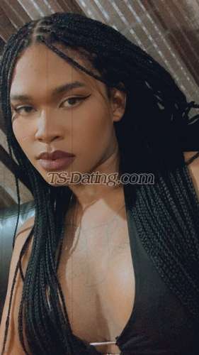 trans girl Penny0709 8327549 trans girl Penny0709 8327549