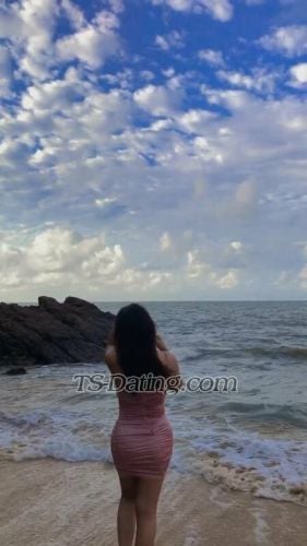 trans girl Petdyanaa 7326035 trans girl Petdyanaa 7326035