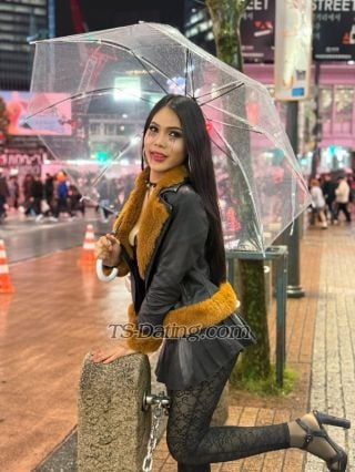 trans girl Petlada 2181274