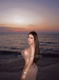 Pimji1994 Chiang Mai Transex ✅Line:Piglet199xpmy                                  
              Hi, I am Queen , a sweet PRE-OP Ladyboy from
Thailand. I travel around world and stay in one place
(your Town) for a limited time only.Since I am
from the Land of Smiles, for sure you will indulge in my
warm hospitality with laughter and joy. If you are looking
for Girl Friend Feeling (GFE), come to me and you’ll have
an unforgettable wonderful experience with me.I
have a 5.5 inches thick hard cock. I can be either Top or
Bottom, but I prefer to be Bottom myself.First-timer or
experienced player is welcome to have fun with me. I
only do safe sex. No condom, no sex. I offer: *
lovely Girl Friend Experience * BBBJ* Anal
SexYou can contact me via channels
below:🦋🍃WhatsApp : +6698-7670317 
🤍🌷Telegram : @zzomzx(Please do NOT call via
Whatsapp. Text only.)🍃🩷 Line: Piglet199xpmy
Hope to have fun with you soon
