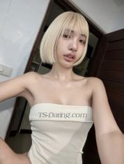 PingPingPing Chiang Mai Transex ‼️ I'll be free again on Monday the 13th, 我13号星期一就又有空了‼️

Hi! Im Lilin from TH 🇹🇭
Top&Bottom can cum 💦
Send messages related to work only
❤️‍🔥 只限工作私信 ，会说一点中文

Wechat : Lilin44_05
Whatsapp : +66612729320
Telegram : @chouxx_cream789
Twitter : @aethrwa