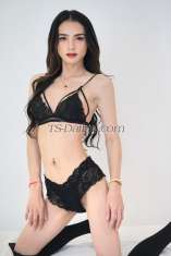 Pockyiii  Pockyiii Pockyiii Pattaya Transex Ciao mi chiamo Pocky vivo in Thailandia se ti piace divertirti possiamo incontrarci posso fare qualsiasi cosa se ti piace 69 sono pronto sono magro 175 alto se vuoi saperne di più incontriamo ok