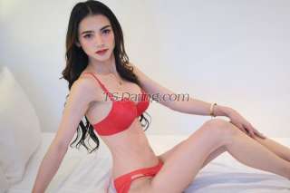 trans girl Pockyiii 7907489 trans girl Pockyiii 7907489