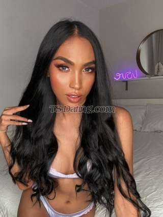 trans girl PornstarGwen 3250172 trans girl PornstarGwen 3250172