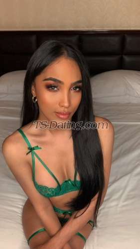 trans girl PornstarGwen 3563538 trans girl PornstarGwen 3563538