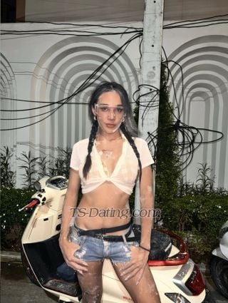 trans girl Porrspchh 4309116 trans girl Porrspchh 4309116