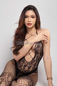 Pratya Bangkok Transex Hi👋🏻 my name patty 
I’m from Bangkok ,Thailand 

I’m here on the city and happy to meet with you my dear. I’m intelligent, and sexy shemale you can to reach high level of passion.
I’m ready to give you amazing services best sex experience and fulfill your desires

I CAN GOOD BOTTOM AND SWEET TOP
IF YOU NEED YOUNG SHEMALE
I AM WAITING FOR YOU 💋💋

Please text me if you interest
Hope hear you sound soon🙏🏻🫦

📱line: Lookpat301040 
📱WhatsApp: +66987071110
📱call: +66987071110          
📱WeChat: Lookpat_