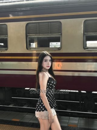 trans girl Prim2204 9421908 trans girl Prim2204 9421908