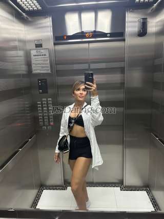 trans girl pamela9374 2822777