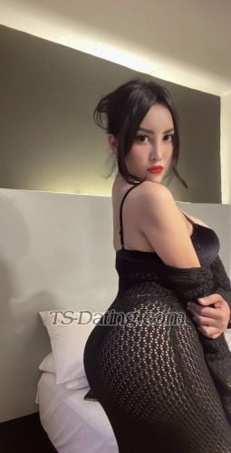 trans girl pamelaputry 1880791 trans girl pamelaputry 1880791