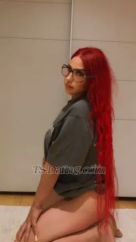 Shemale pamelaross 3391254 Shemale pamelaross 3391254