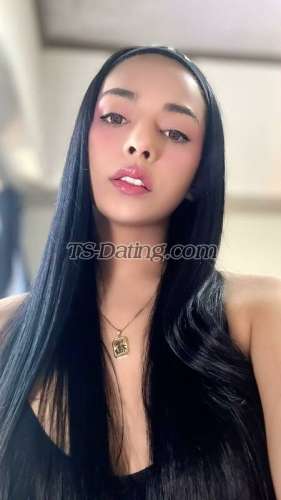 trans girl QueenGxxxx 6626463 trans girl QueenGxxxx 6626463