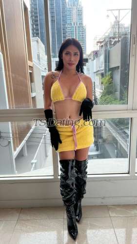 trans girl QueenYassi 5452256 trans girl QueenYassi 5452256