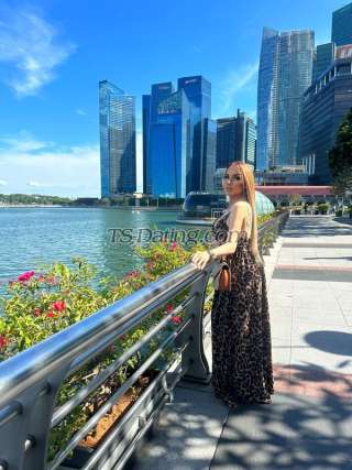 trans girl Queenmonica 8326652 trans girl Queenmonica 8326652