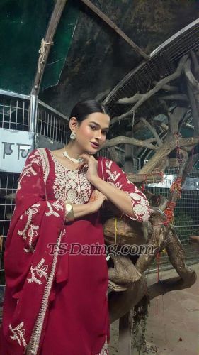 trans girl Queenpanda 0835852 trans girl Queenpanda 0835852