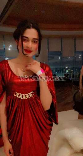 trans girl Queenpanda 8313977 trans girl Queenpanda 8313977