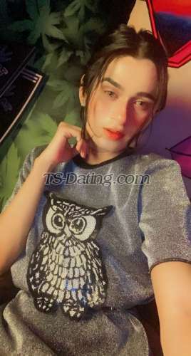 trans girl Queenpanda 8351398 trans girl Queenpanda 8351398