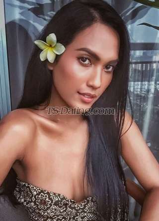 trans girl Quratu 1425672 trans girl Quratu 1425672