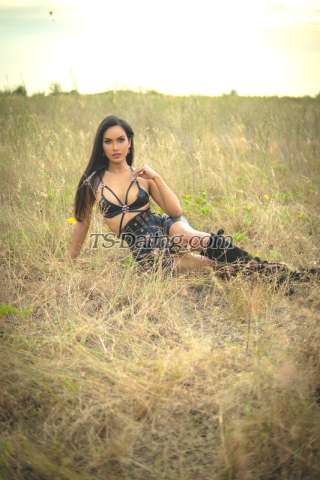 trans girl Quratu 1693816 trans girl Quratu 1693816