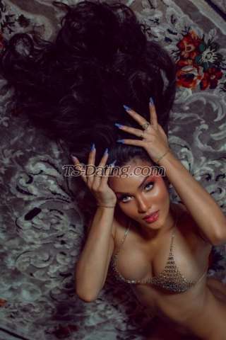 trans girl Quratu 6446925 trans girl Quratu 6446925