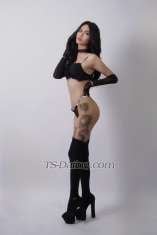 Rachel Lynn Rachel L P Rachel L P Bandung Transex Olá, sou uma novata no TS, meu nome é RACHEL LYNN 24 anos Altura 173 cm Peso 55 kg Tamanho 6 polegadas padrão asiático Hormônio mamário pequeno Média corporal Parte superior e inferior totalmente funcionais Disponibilizar vcs/vídeo de conteúdo Bonita e com boa atitude, parece uma garota muito jovem e fofa Eu amo fantasia Posso ajudar seu ajudante tarado dessa vez Claro que lhe darei um bom serviço para que você fique satisfeito e não se arrependa, use sempre preservativo/sexo seguro se você tiver interesse, eu só mando mensagem/tenho que ligar no whatsapp +6281882884319 Agarre-me rápido agora! Abraços e beijos :*
