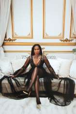 RachelSmithe London Transex €400 euros | £380 per hourFirst timers welcome |
Sensual Domina | Certified Bondassage® Practitioner &
Global Master TrainerFully functional +
cut📌  REQUEST AN APPOINTMENT Email:
TSRachelEurope@gmail.com The following details
must be provided when you inquire for an appointment:  date
+ time + length of meeting ex. 25 March, 14:00, 2hrs
Life is too short and full of regrets, don’t you
think?  Maybe you are craving for intimacy, or want to
broaden your horizons? Are you into sensual domination,
fetish or kink? Through technique, instinct, tools or toys,
Rachel will make sure your boundaries are safely and
respectfully pushed. We surely believe Rachel is truly 'the
best of both worlds' !Make fantasies a reality,
and maybe we can help you along your journey of sensuality
and self-discovery.'Quality over Quantity' –
Mistress Preferences in Gentlemen:Respectful, hygienic,
open to exploration and willing to connect. Those seeking a
rushed encounter, or only desire for her to “finish”,
but do nothing to actually achieve that goal are not a good
fit.ATTENTION ! Asking Mistress to
“Finish”:When inquiring for a brief moment (e.g., 1
hour), please consider that Rachel hosts multiple guests
during her tour. Demanding specific requests like 'nectar'
in such short appointments reflects a lack of understanding
and awareness. Rachel prioritises the quality of each
encounter and strives to ensure every guest leave satisfied.
She is delighted to fulfil this special request with
gentlemen interested in spending meaningful time together,
beyond just one hour. Keep in mind that Rachel values
connection and mutual stimulation in her
interactions.🔱 SERVICESAnal
(giving)Anal TrainingBBBJBDSMBody
glideBondageBondassage®Breath
PlayCBTClothespinsCum In MouthDirty
TalkEdgingElysium by Bondassage®E-stim/Tens
UnitEnema TrainingFacesitting /
QueeningFisting (give)FloggingFoot
WorshipFrench KissingFull Body Sensual
MassageHair Pulling (active)Golden Shower
(giving)Hydro-Rape (high powered & humbling DEEP
cleaning)LactationMilking TableMutual Bathing
/ ShowerNipple Play/
TorturePumpingPoppersRimming
(receiving)Role
PlayShavingSpankingTantraTicklingTo
ysTramplingVerbal
HumiliationWrestling🔱 Hygiene Reference
Links  - because it matters!1.
cosmopolitan.com/uk/love-sex/sex/a12007398/rimming-tips
2.twitter.com/cmclymer/status/1493679378814976004kinkly.com/
5-steps-to-straight-guy-comfort-with-anal-sex/2/18333.
EnemaTips.com4.
kinkly.com/2/1391/beyond-missionary/anal-sex/the-5-rules-of-
anal-play-for-straight-men5.
maleq.org/douching-for-men-how-to-before-anal-sex6.
maleq.org/how-to-make-anal-sex-not-hurt7.
puckerup.com/category/sex-ed/anal-advisor🔱 TOYS
/ TOOLS.Ball Stretchers (Stackable
Silicone)BlindfoldsChastity
DevicesClothespinsCock RingsDildos / Butt
Plugs (S/M/L/XL)eStim / Tens Unit (anal /cock/ balls /
nipples)Floggers (fur / leather)Gloves for
prostate milking & fistingHummingbird & Prostate
attachment for HitachiInflatable Anal
StretcherLatex Evening Length GlovesLeather
Bondage GearLeather Evening Length GlovesMask /
HoodNipple ClampsPaddleSatin Evening Length
GlovesSnake Bite Nipple TrainersUnder Bed
RestraintsWartenberg Wheel🔱
OUTFITS.Body StockingsFine
LingerieG-StringJeansLatexPatent or
Leather Thigh High BootsPatent or Leather
CorsetPatent or Leather High HeelsStockings &
SuspendersYoga / sportswear* G-String,
Thongs, Panties, Thigh Highs & Body Stockings for clients
who like to Cross Dress📌 PAYMENT
OPTIONSSWISH, Cash, STRIPE, REVOLUT, Credit Card (5%),
PayPal (5%)BitcoinFor appointments outside
Europe, welcome to contact staff@ts-rachel.com