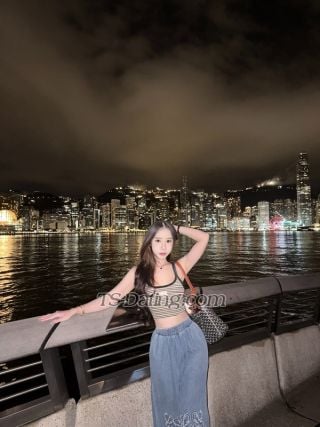 trans girl Radarsummer 3368983 trans girl Radarsummer 3368983