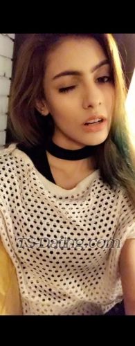 trans girl RidaQ 6501517