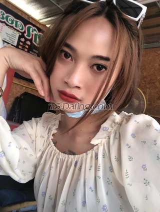 trans girl Rokkee2541 3715320 trans girl Rokkee2541 3715320