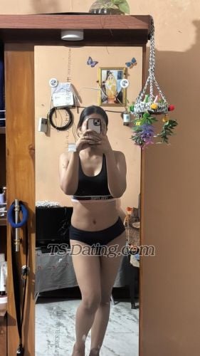 Shemale-RosyRose-2296605 
