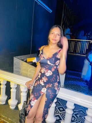 Shemale-RosyRose-2296628 