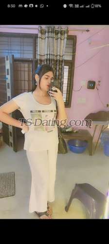 trans girl RoyalSimmi 2557574 trans girl RoyalSimmi 2557574