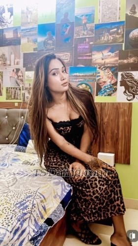 trans girl rosytop 3809474 trans girl rosytop 3809474