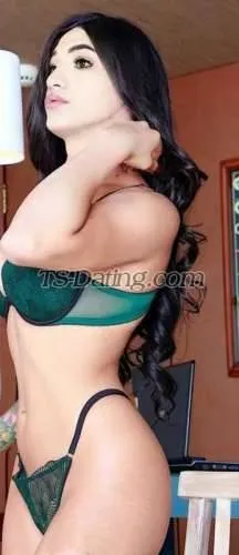 Shemale SABRINA23 4484911 Shemale SABRINA23 4484911