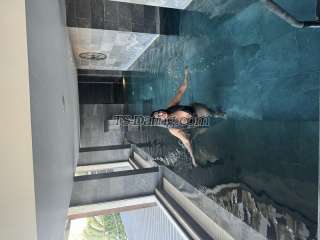 trans girl SabrinaXavier 2353865 trans girl SabrinaXavier 2353865