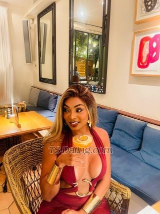 trans girl Safira 9347322 trans girl Safira 9347322